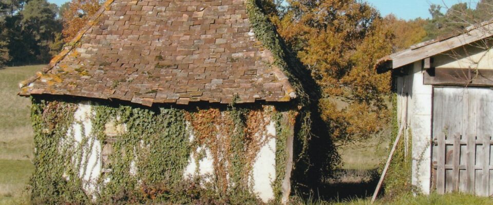 Lundi 24 mars à 18h : Conférence de Marc Bonnier sur l'architecture vernaculaire